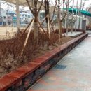 장학초등학교 이미지