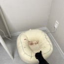 홍경태동물병원 이미지