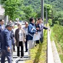 해뜰안애 이미지