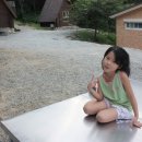 봉황자연휴양림 이미지