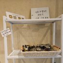 비바치아타 | 교대, 강남역 빵집 비바치아타 베이커리
