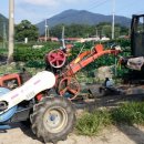 외갓집농장 이미지