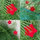 넝쿨농장 이미지