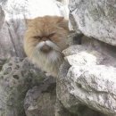 고전으로 보는 한문 이미지