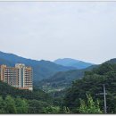 인월주유소 Daum카페