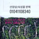 선의농원 이미지