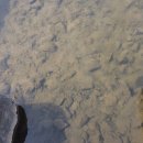 한경행정사사무소 이미지