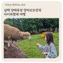 큰언덕목장 | 남해 양떼목장 양마르뜨언덕 아이와함께 여행