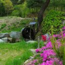 안터사슴농장 이미지