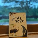 승에너지 | 남이섬 호텔정관루 숙박 후기｜가격·주차·대중교통·생물관찰