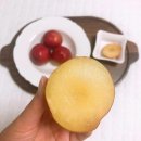 봉자농장 이미지