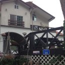 마이앤트세라 이미지