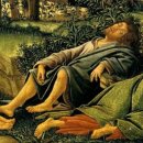 대림(아) 이미지