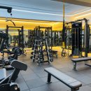 랩 지피티짐 이미지