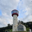 약나무마실 | 서울 근교 가을 나들이 명소 용인 자작나무숲 &amp; 핑크뮬리 정원 후기