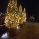 한티역약국 이미지