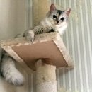 강남-119 이미지