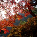 그곳에가면 이미지