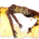 W복싱클럽 이미지