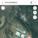 메타에스앤디