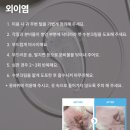라라펫 이미지