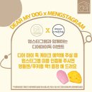 디어마이독 이미지