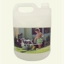 체리쉬퍼피 이미지