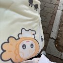 또 강아지만 보다가 반년이 흘렀다네