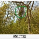 덩쿨농장 이미지