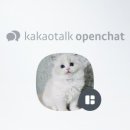 바비돌/픽시윙스캐터리 이미지