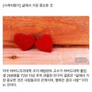 오늘의 小史 이미지