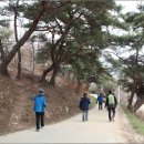 팔공산왕건길 1코스 이미지