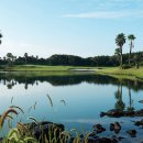 테디벨리 이미지