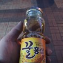 2015. 4. 4(토) 속리산 일대 투어 후기