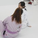팀루츠 이미지