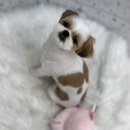 온레스트그루밍 이미지