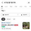 서기당홍기창가옥