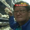 이남주자연아래버섯