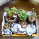 신상인농장 이미지