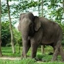 현대종합펫(현대동물병원) 이미지