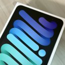 아이패드 미니 7 스페이스 그레이 256GB 쿠팡 구매 후기