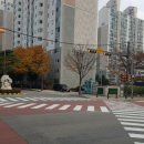 신나무실약국 이미지