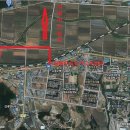 강내농협주유소 이미지