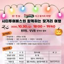 빛투어
