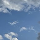 막창도둑(초전점) 이미지