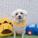 쓰다드멍 이미지