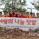 텃밭 수완점 이미지