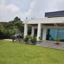 제주대지공인중개사사무소 이미지