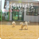 놀멍쉬멍고르멍 | 제주도 애견카페 애견운동장, 놀멍쉬멍고르멍 후기