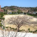 장호중학교 이미지